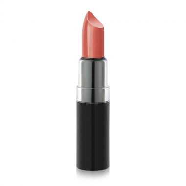 Vision Lipstick 4,2gr