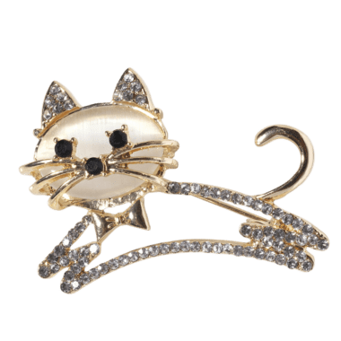 Καρφίτσα Καρφίτσα